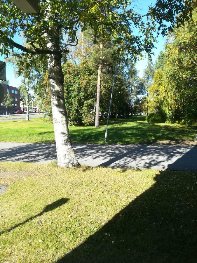 Arctic Home Rovaniemi Zewnętrze zdjęcie